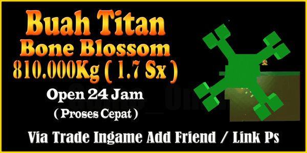 Gambar Product Titan-Sized Fruit | Super Big Titan