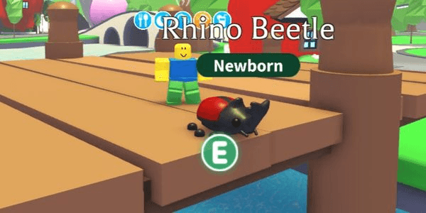 Gambar Product Rhino Beetle