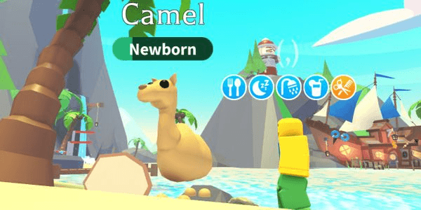 Gambar Product Camel