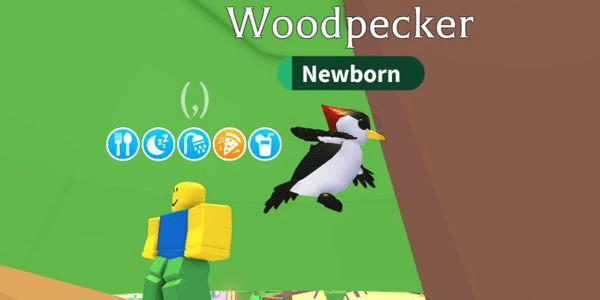 Gambar Product Woodpecker