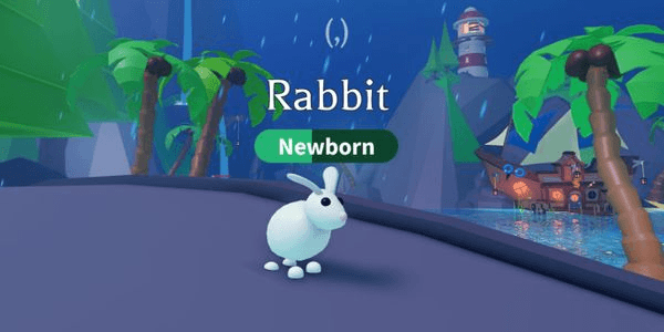 Gambar Product Rabbit