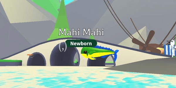 Gambar Product Mahi Mahi