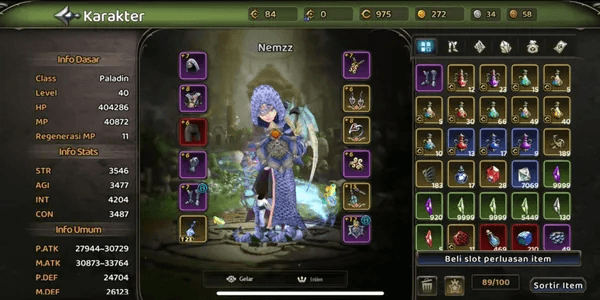 JOB PALADIN SERVER DP5