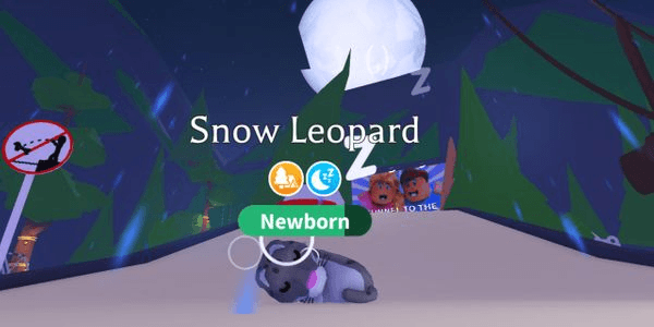 Gambar Product Snow Leopard