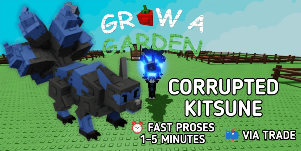 Product Showcase