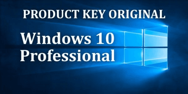 Gambar Product Windows 10 Professional