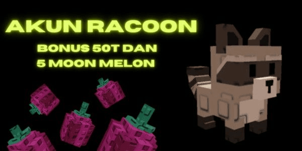 Gambar Product AKUN RACOON BONUS 100T/100Trilliun  + 5 MOON MELON FRUIT Grow a Garden Starter Mantap deh