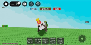 A plain account contains a pet french fry ferret grow a garden