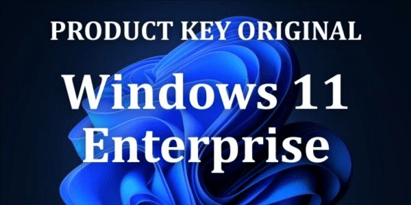 Gambar Product Windows 11 Enterprise