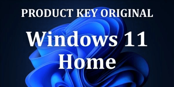Gambar Product Windows 11 Home