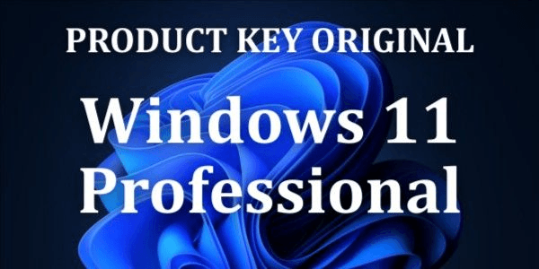 Gambar Product Windows 11 Professional