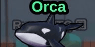 Gambar Product ORCA - fish it!