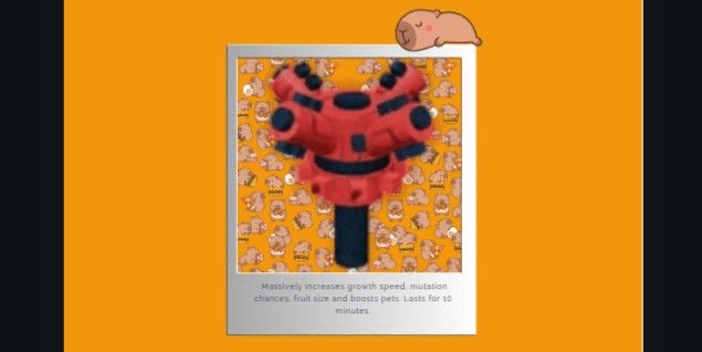 product-image-0