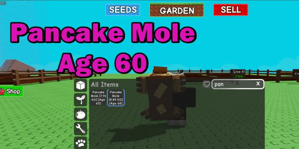 Product Showcase