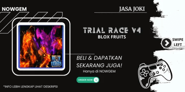 Jasa Race V4