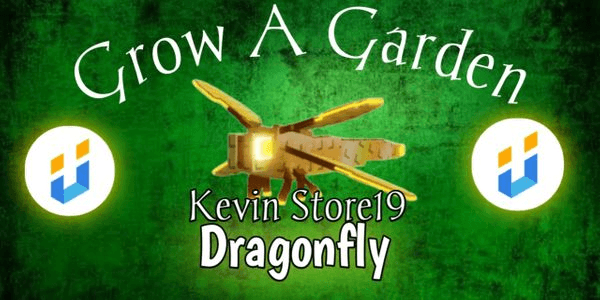 Gambar Product Dragonfly Murah Meriah