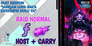Joki per raid/fragment by Req