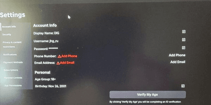 Screenshot