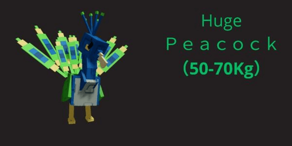 Gambar Product Huge peacock - Grow a Garden