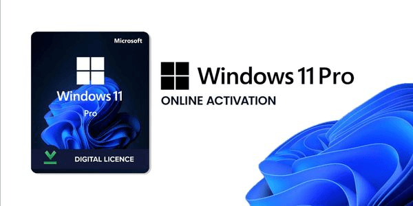 Gambar Product Windows 11 Professional