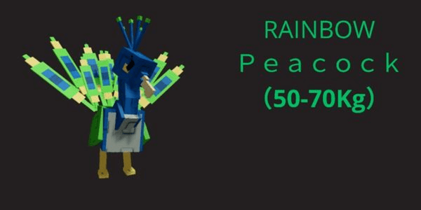 Gambar Product Rainbow Huge Peacock - Grow A Garden