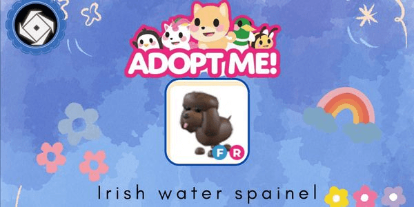 Gambar Product Irish Water Spaniel