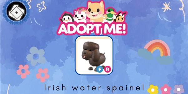 Irish Water Spaniel