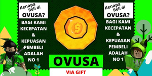 2x Coins
