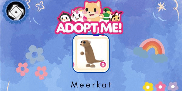 Gambar Product Meerkat