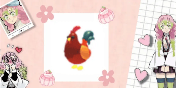 Rooster