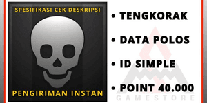 Plain Data Skull