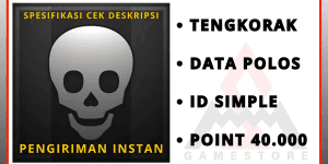 Plain Data Skull