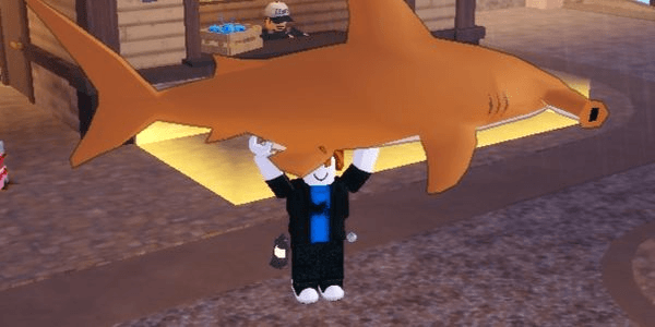 Gambar Product Hammerhead Shark