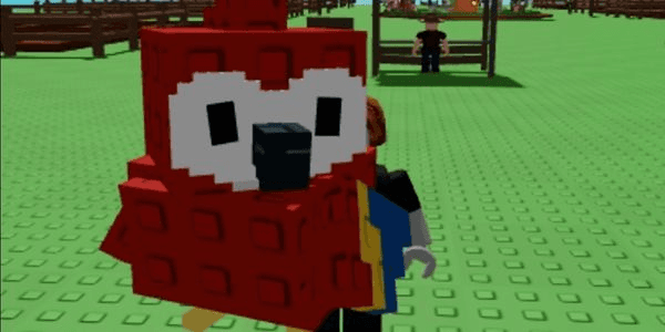 Gambar Product Scarlet Macaw