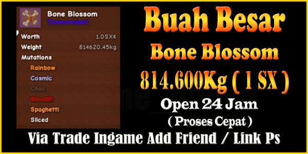 Gambar Product Super Big Fruit