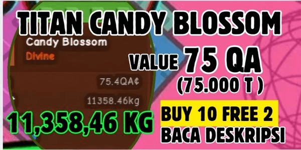 Gambar Product CANDY BLOSSOM | BIG FRUIT