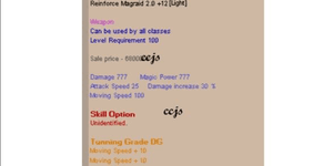 Reinforce Magraid 2.0 +12 Potenziamento DG