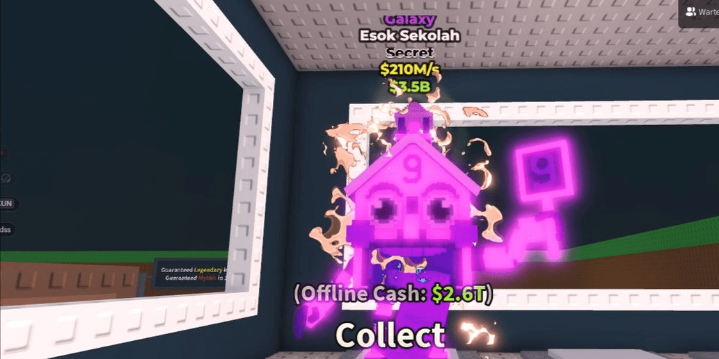 Product Showcase