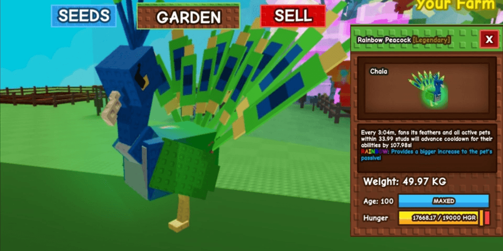 Product Showcase