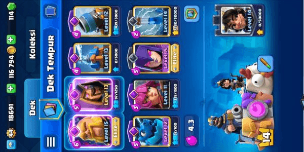 Gambar Product Fortress King Level 14 GG