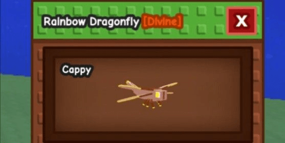 Gambar Product Rainbow Dragonfly