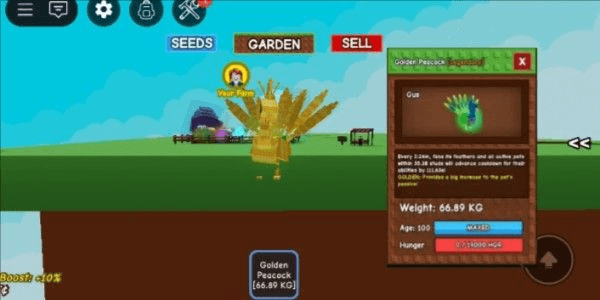 Product Showcase