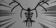 Gambar Product Skelly