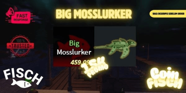 Product Showcase
