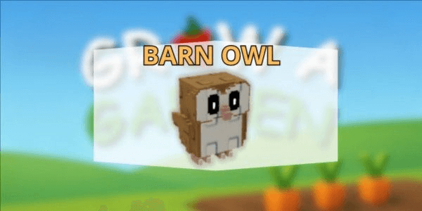Gambar Product Barn Owl
