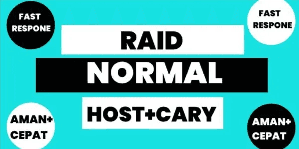 Raid Carry Service 1x