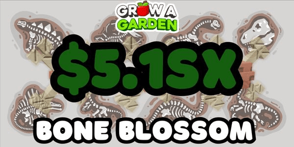Gambar Product 5Sx Coins / Sheckles