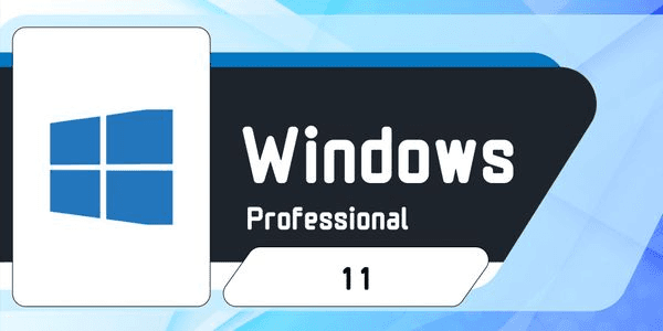 Gambar Product Windows 11 Professional
