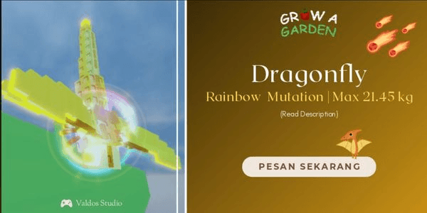 Gambar Product Rainbow Dragonfly | Good Size
