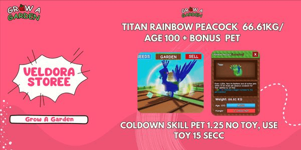Gambar Product TITAN RAINBOW PEACOCK 66.61KG / AGE 100 + BONUS PET